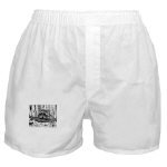 Raccoon Pen and Ink Boxer Shorts by NANCE